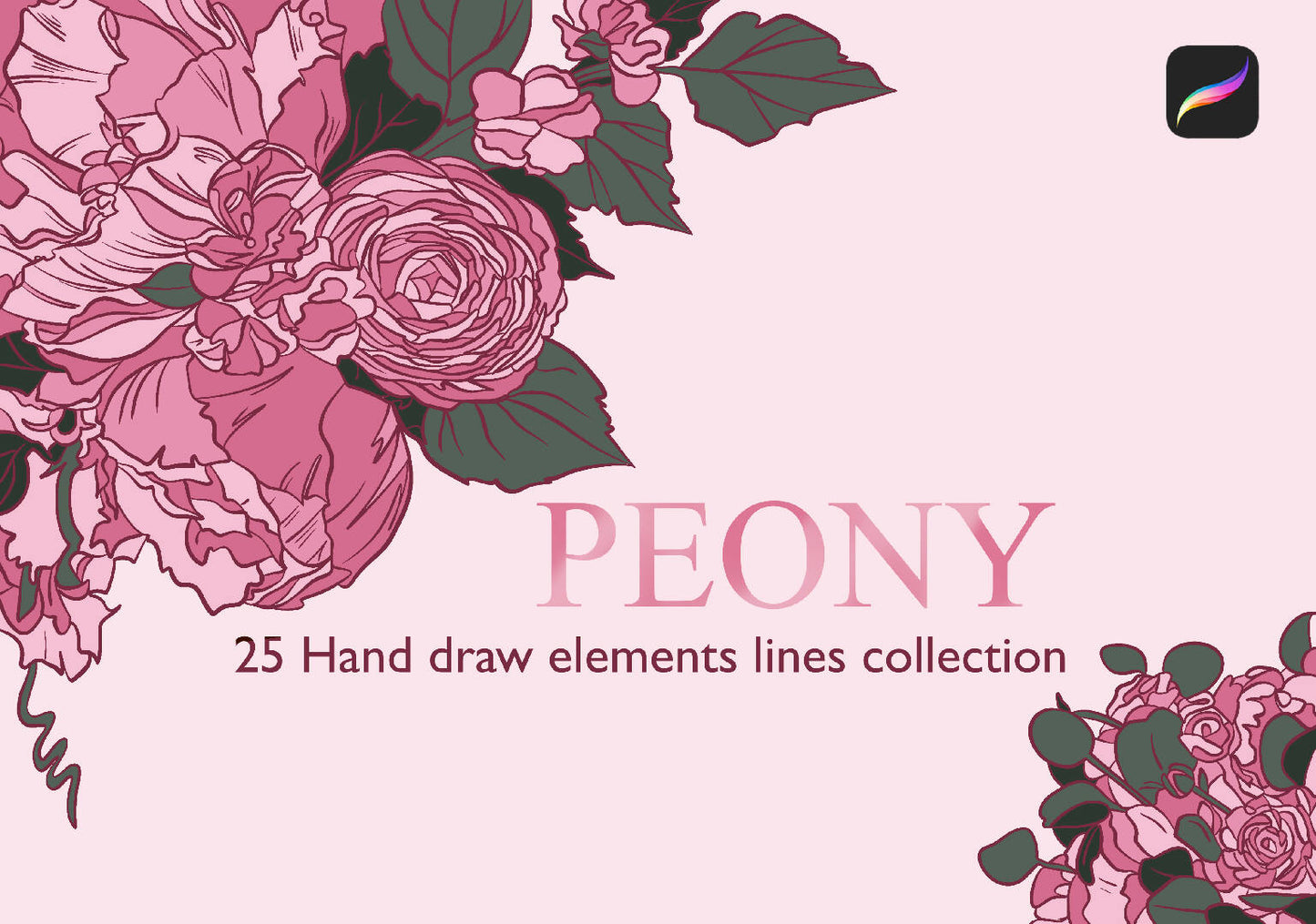 Detailed Peony Stamps Procreate