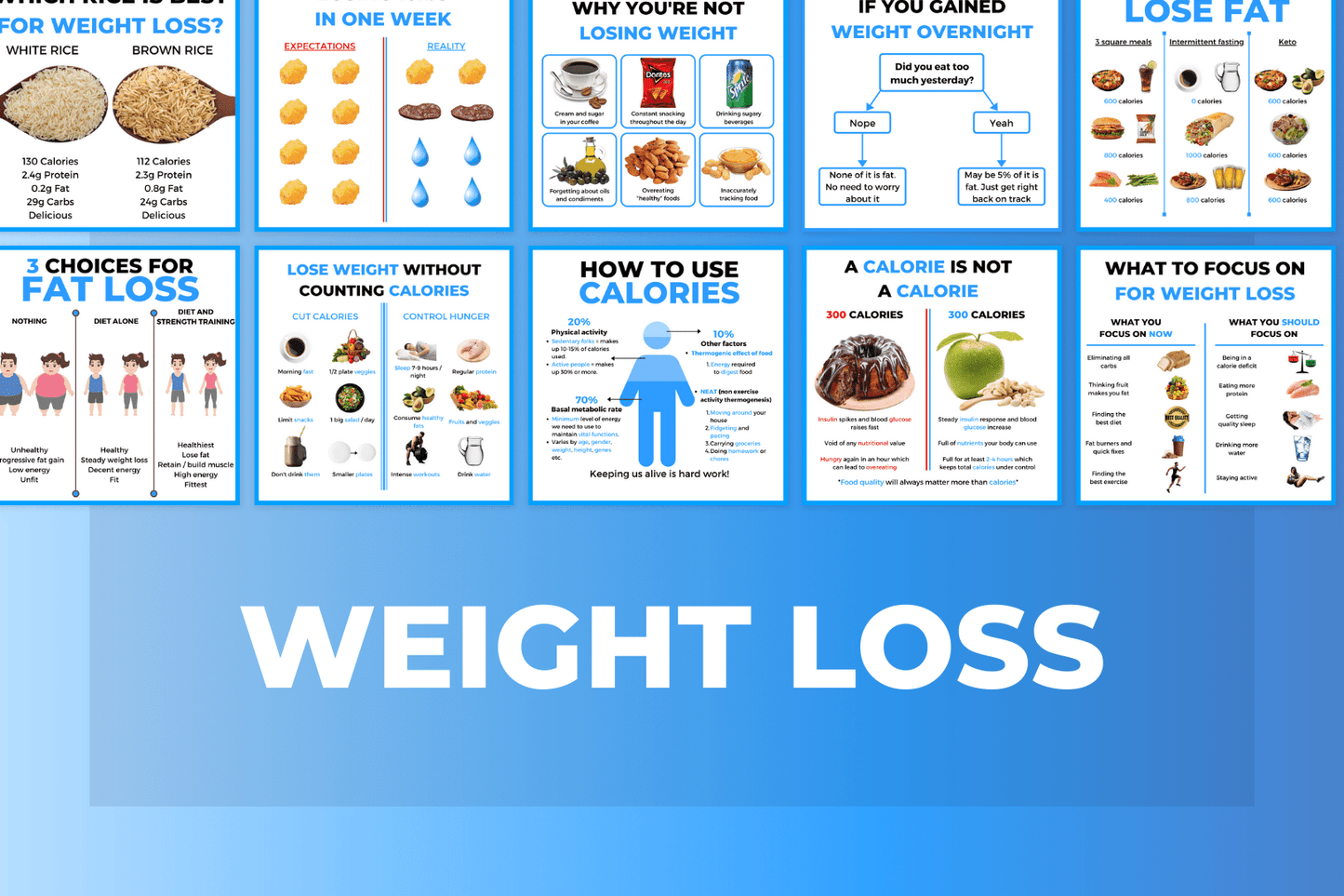 All Fitness And Nutrition Infographics