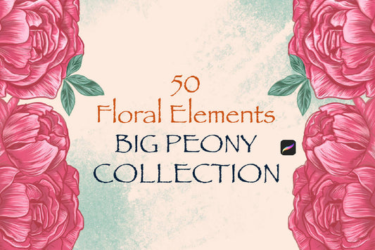 Big Peonies Collection