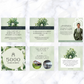Mortgage Mastery Canva Bundle: 30 Customizable Social Media Templates for Brokers! + Free Ebook The Eco Friendly Home