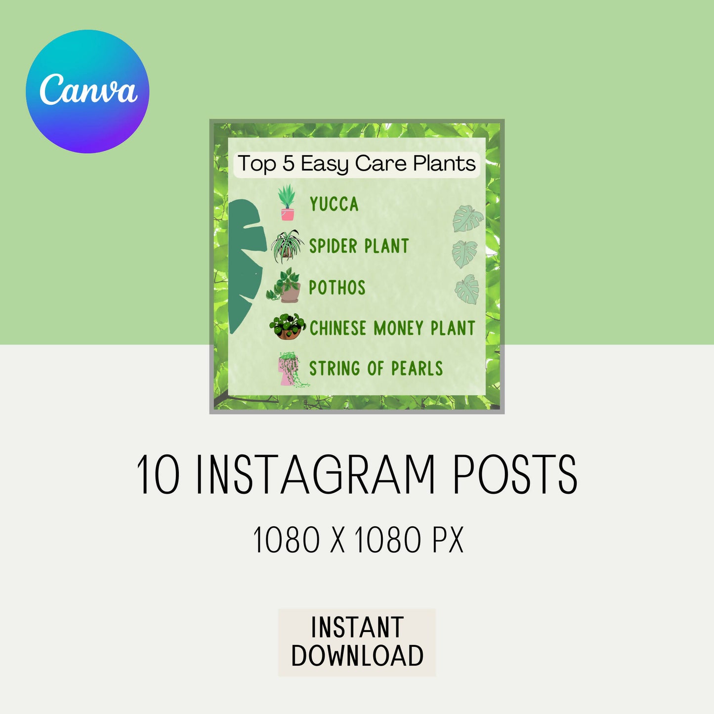Instagram Feed Post Template
