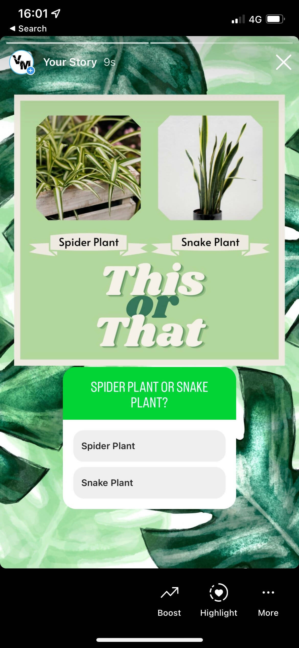 80 Canva Plant This or Thats Instagram Feed & Stories Content Gardens Gardener
