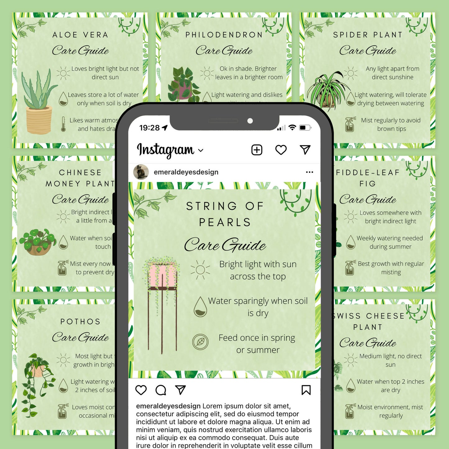30 Canva Plant Care Guides Instagram Feed & Stories Content Houseplant Gardener
